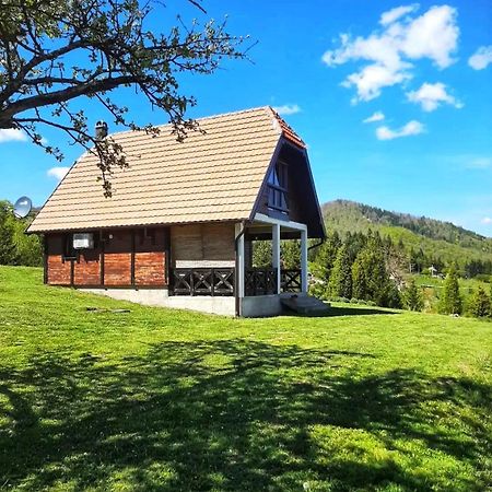 Planinska Kuca Olga-Tara Villa Bajina Basta Exterior photo