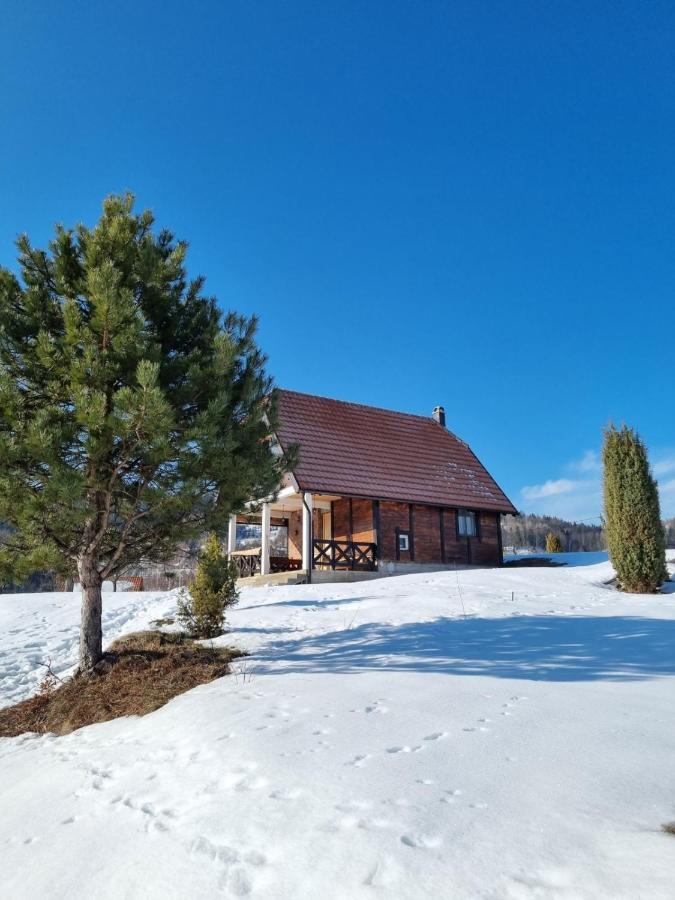 Planinska Kuca Olga-Tara Villa Bajina Basta Exterior photo